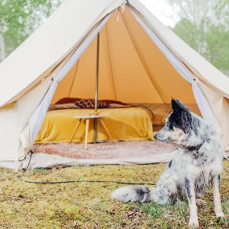 Campsite Le Repere Du Pin Sec - Glamping & Surfcamp
