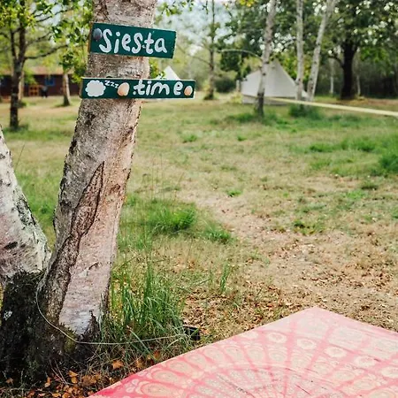 مكان تخييم Le Repere Du Pin Sec - Glamping & Surfcamp Naujac-sur-Mer