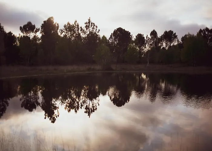 Le Repere Du Pin Sec - Glamping & Surfcamp