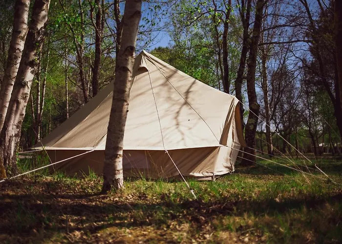 Le Repere Du Pin Sec - Glamping & Surfcamp *