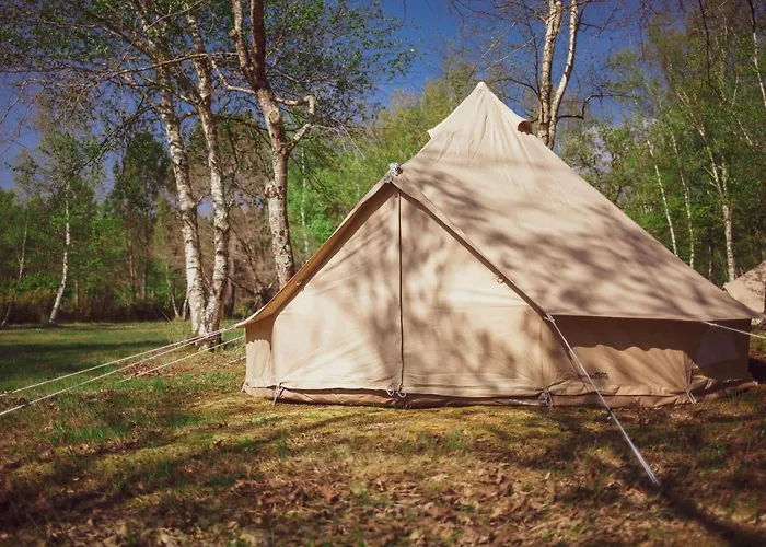 Le Repere Du Pin Sec - Glamping & Surfcamp Campingplatz *