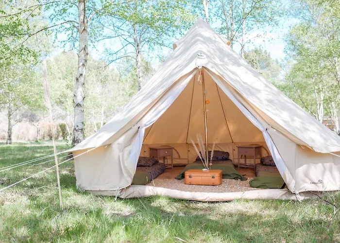 Le Repere Du Pin Sec - Glamping & Surfcamp *