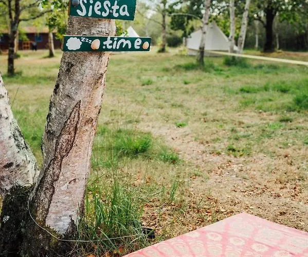 Campingplatz Le Repere Du Pin Sec - Glamping & Surfcamp Naujac-sur-Mer