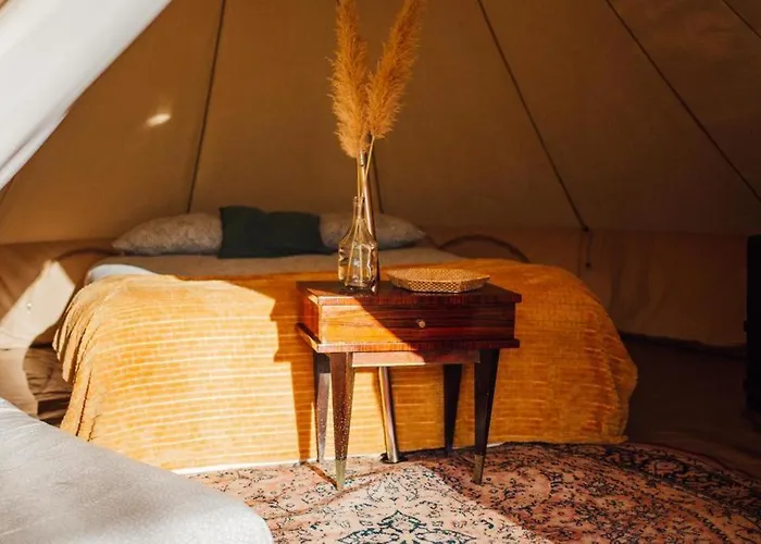 Le Repere Du Pin Sec - Glamping & Surfcamp Naujac-sur-Mer